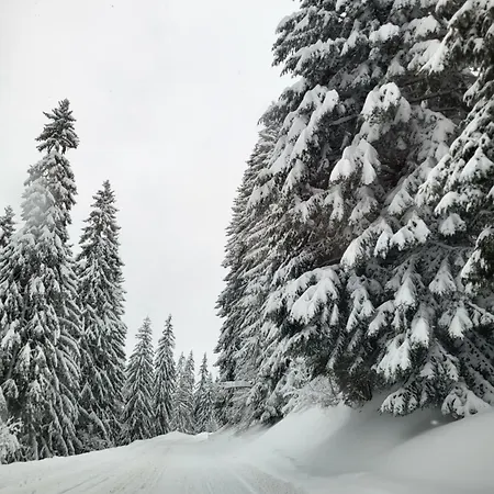 Lejlighed Le Petit Balcon Des Cimes, Vue Montagne & Cocon, Les Saisies