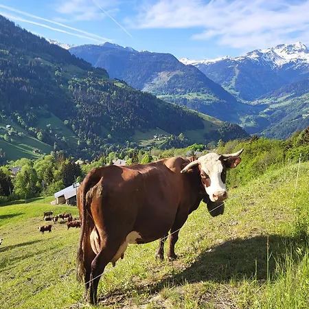 Lejlighed Le Petit Balcon Des Cimes, Vue Montagne & Cocon, Les Saisies *